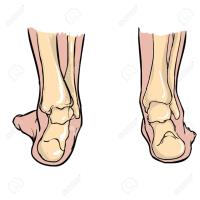 Balga Podiatry image 13